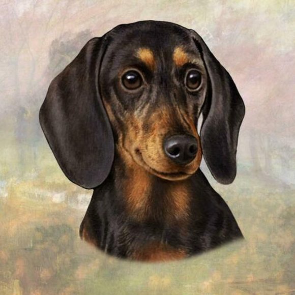 Black Dachshund Head stone coaster - Picture 1 of 1